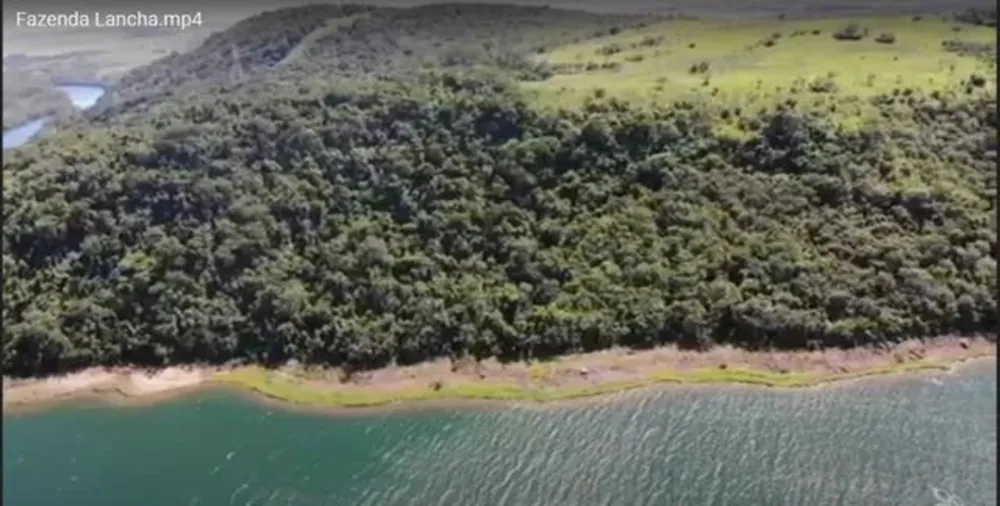 Fazenda, 203 hectares - Foto 4