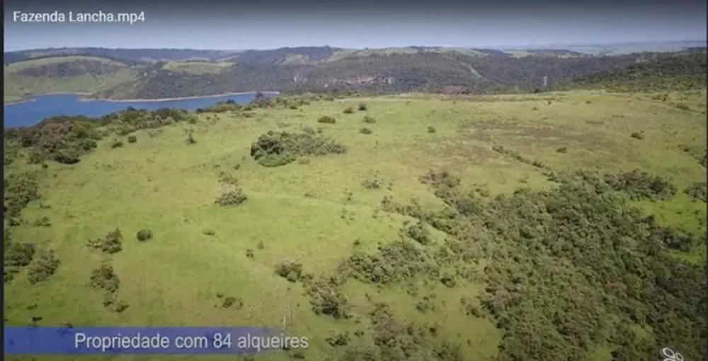 Fazenda, 203 hectares - Foto 1