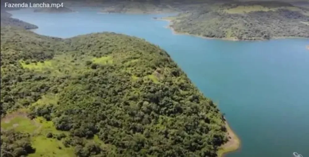Fazenda, 203 hectares - Foto 7