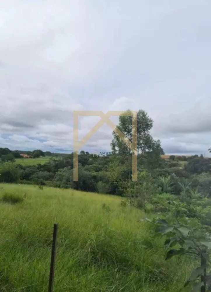 Sítio, 2000 m² - Foto 3