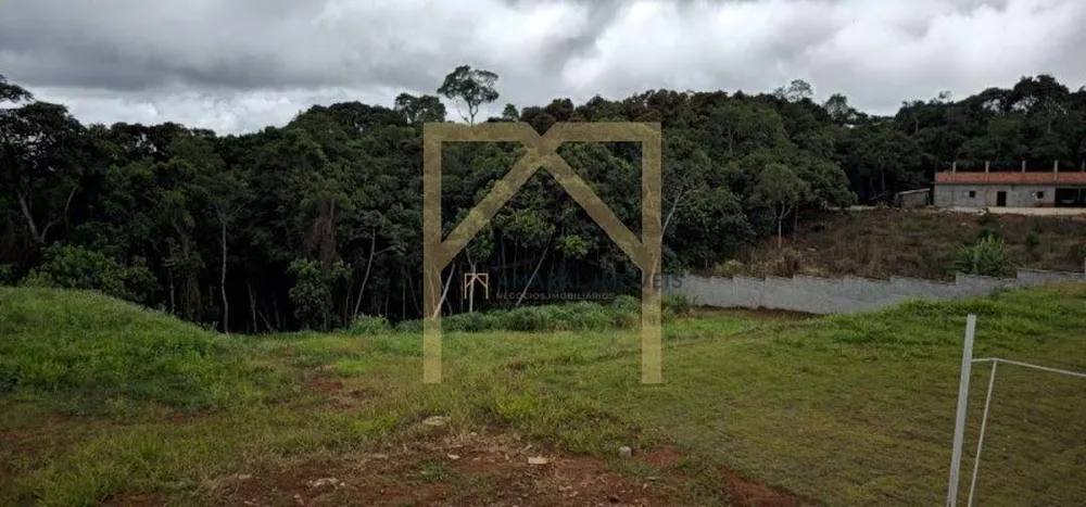 Chácara, 3 quartos, 3 hectares - Foto 7