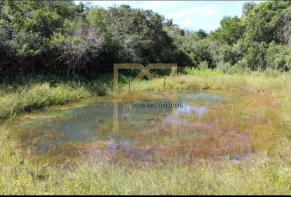 Terreno, 3000 m² - Foto 4
