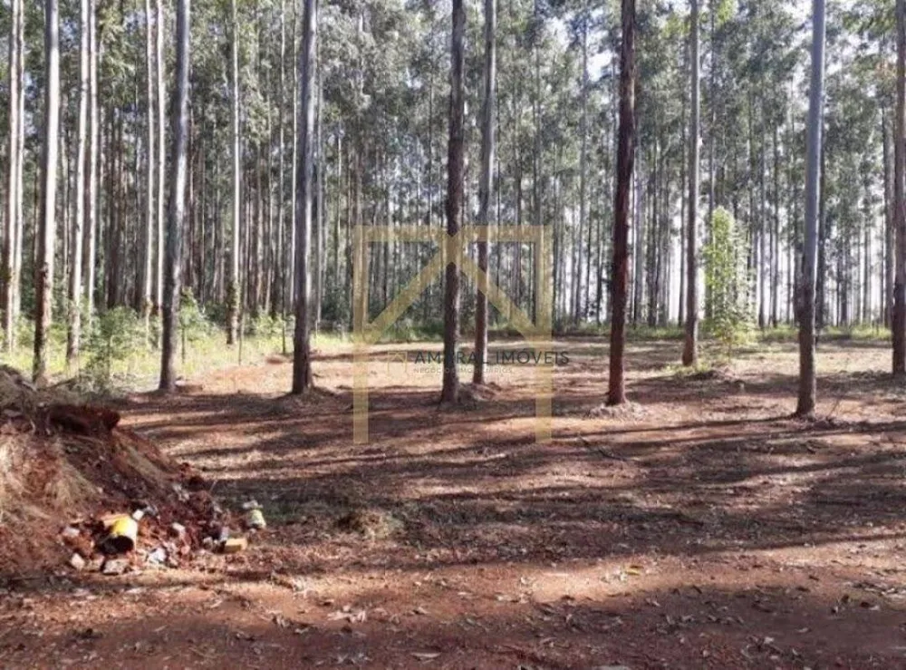 Fazenda, 469 m² - Foto 3