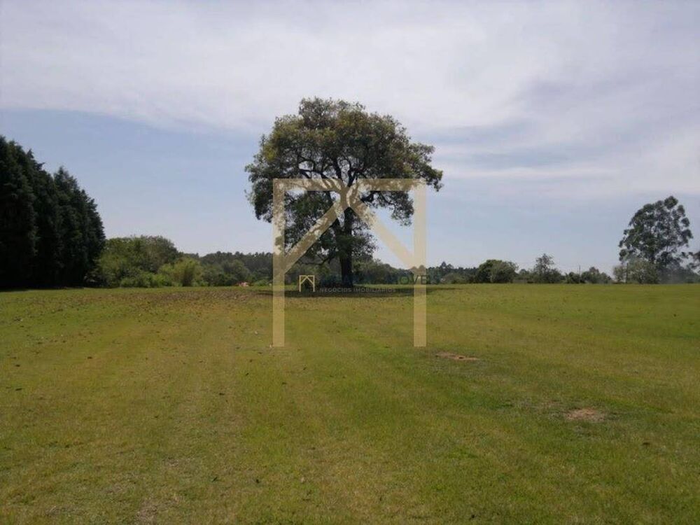 Terreno, 2201 m² - Foto 1