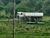 Fazenda, 3 quartos - Foto 4