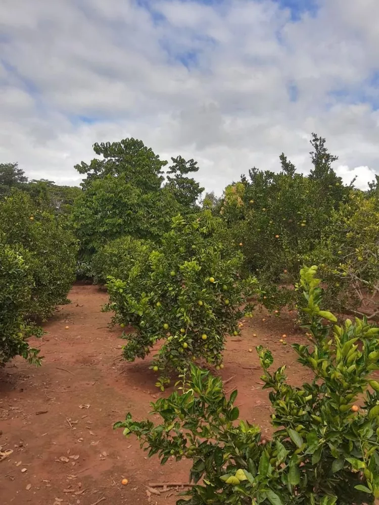 Chácara à venda com 2 quartos, 6M2 - Foto 3