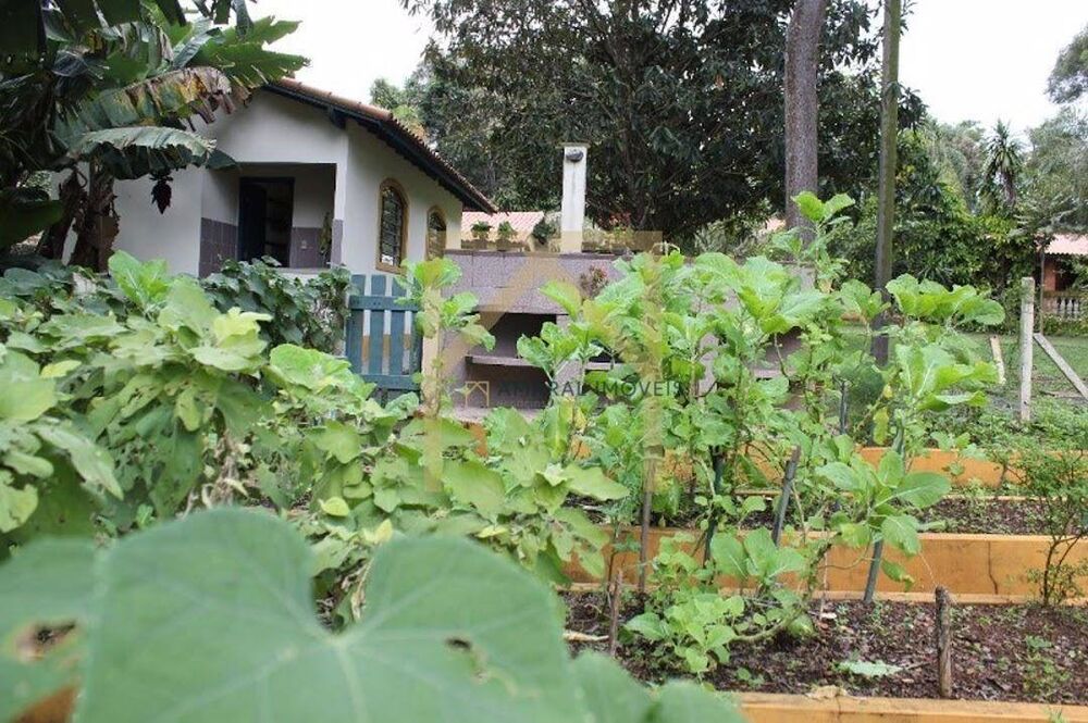 Chácara, 3 quartos, 3 hectares - Foto 12