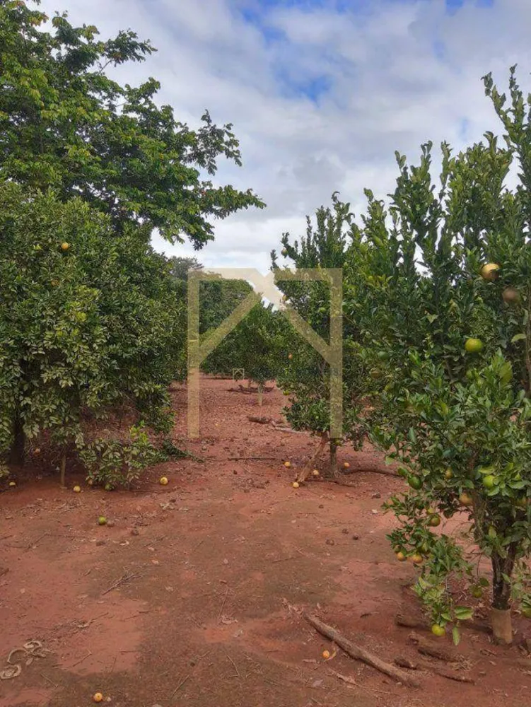 Chácara, 3 quartos, 6300 m² - Foto 2