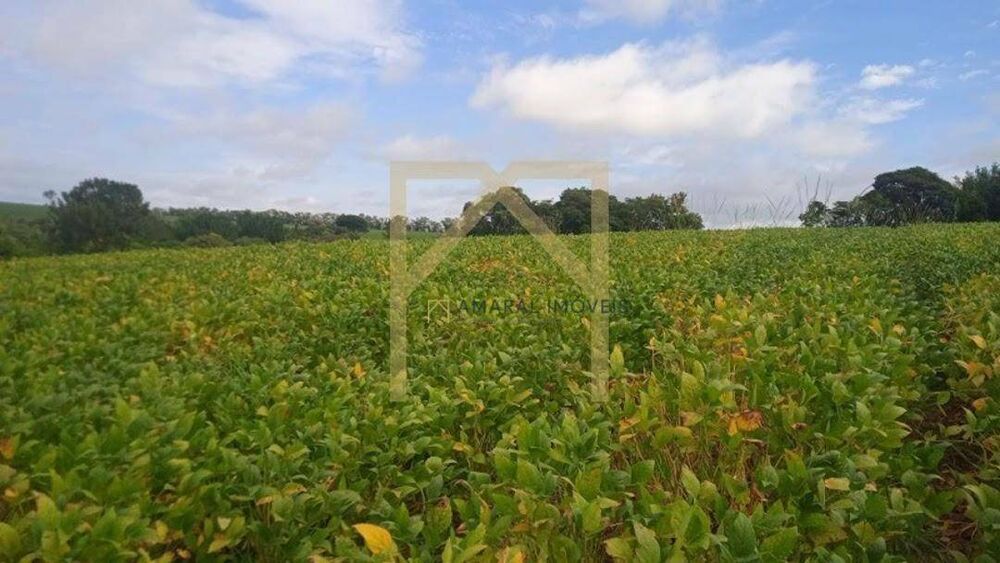 Sítio, 2 quartos, 4 m² - Foto 3