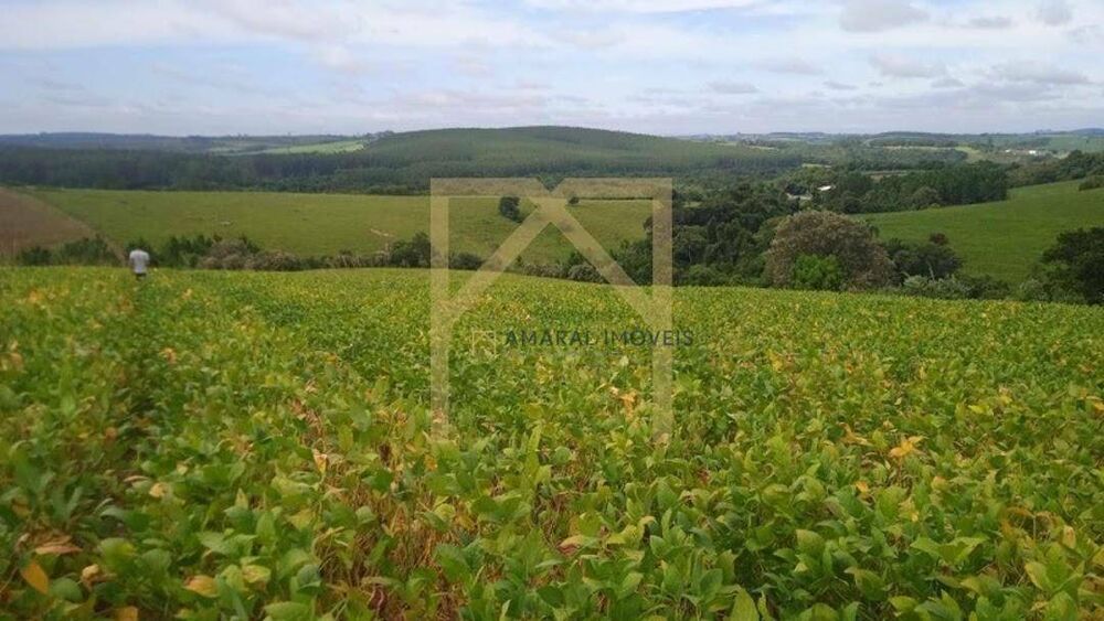 Sítio, 2 quartos, 4 m² - Foto 4