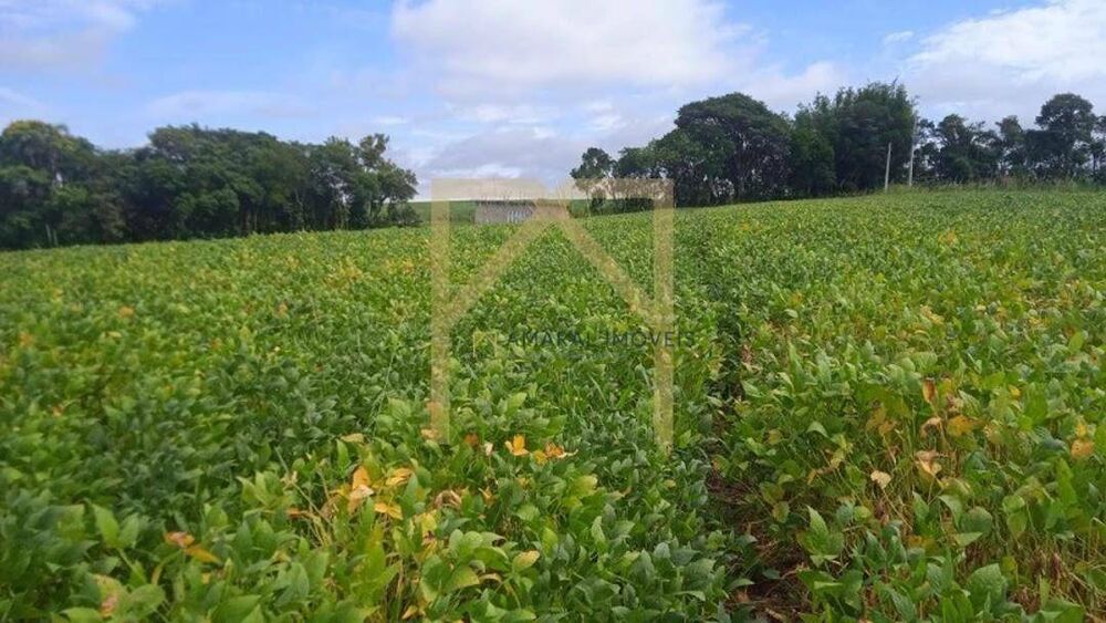 Sítio, 2 quartos, 4 m² - Foto 2