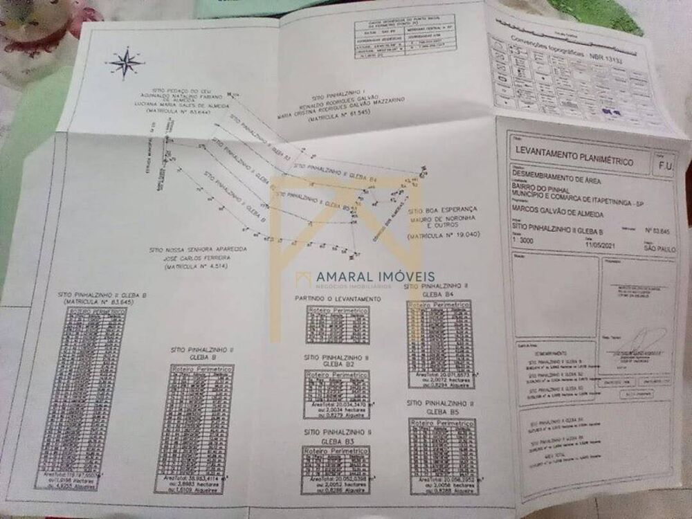 Sítio, 3000 m² - Foto 3