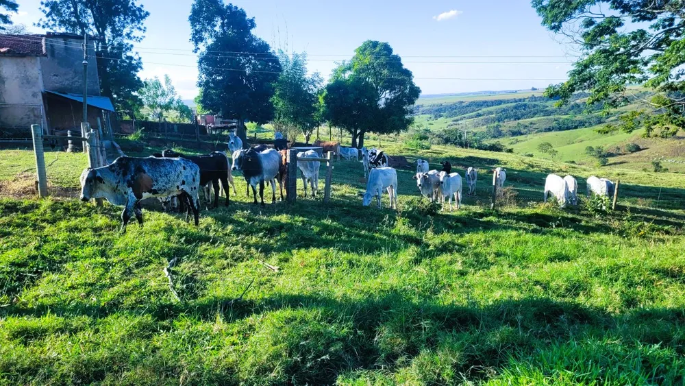 Chácara, 35 hectares - Foto 4