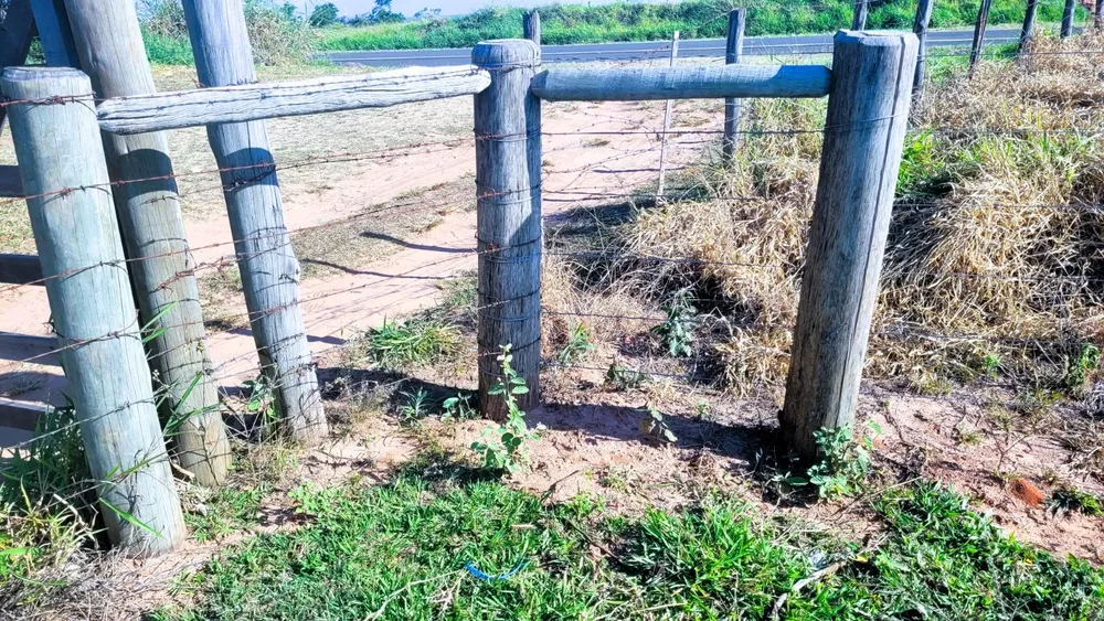 Chácara, 35 hectares - Foto 6