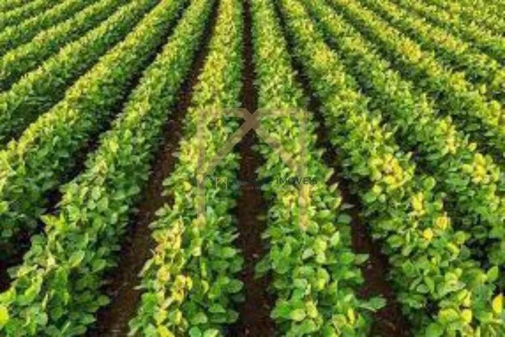 Fazenda - Foto 1