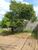 Terreno, 1000 m² - Foto 2