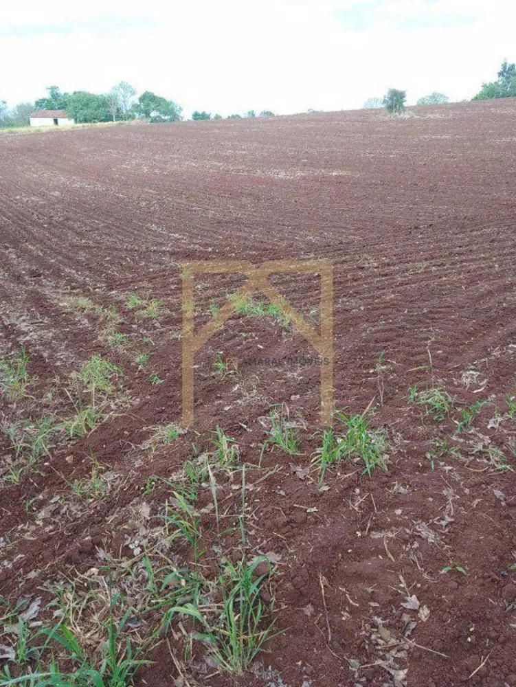 Terreno - Foto 4