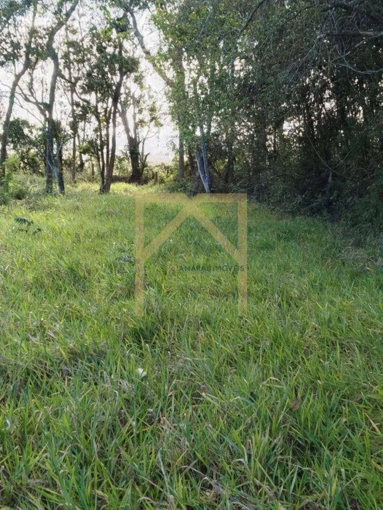 Terreno - Foto 3