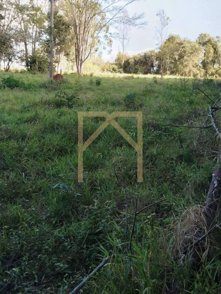 Terreno - Foto 8