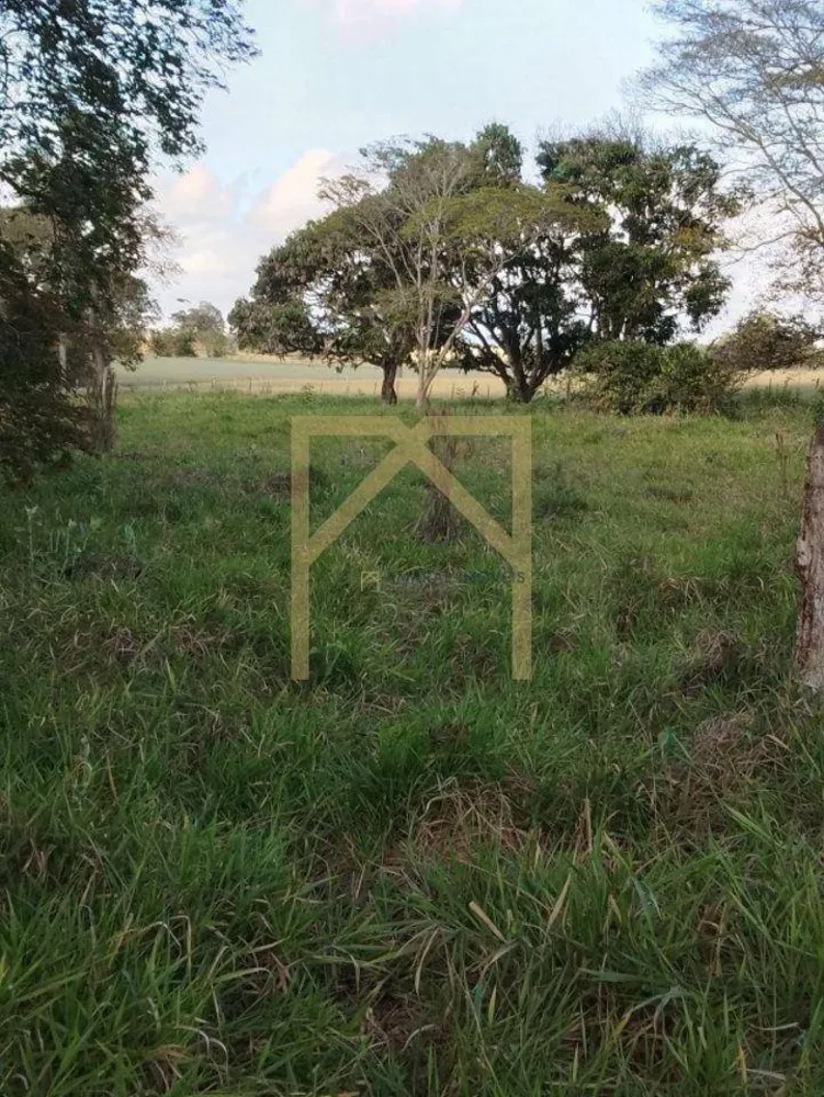 Terreno - Foto 5