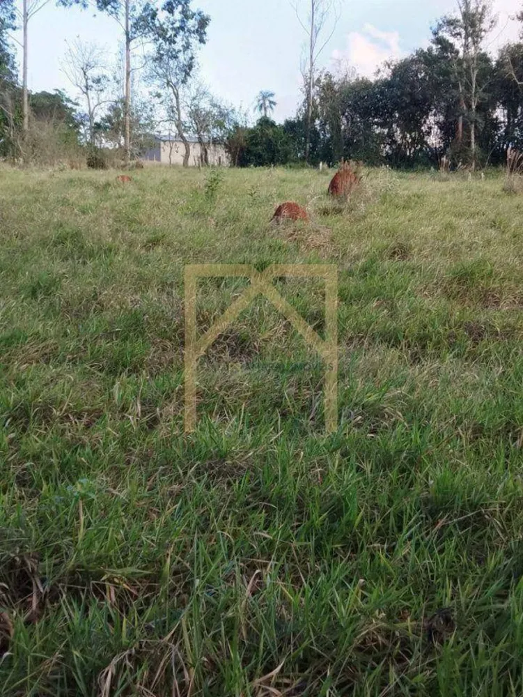 Terreno - Foto 6