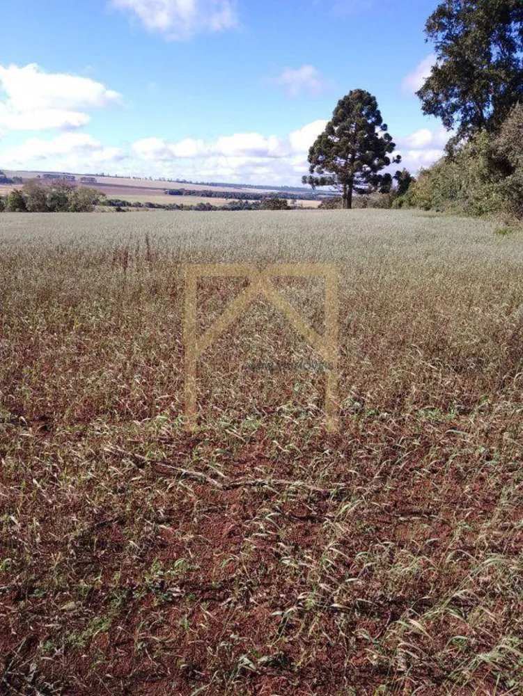 Terreno - Foto 13