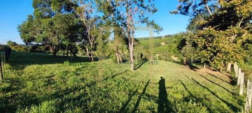 Sítio - Foto 4