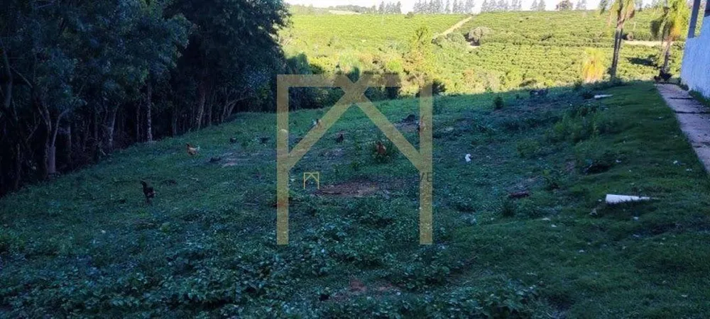 Sítio - Foto 2