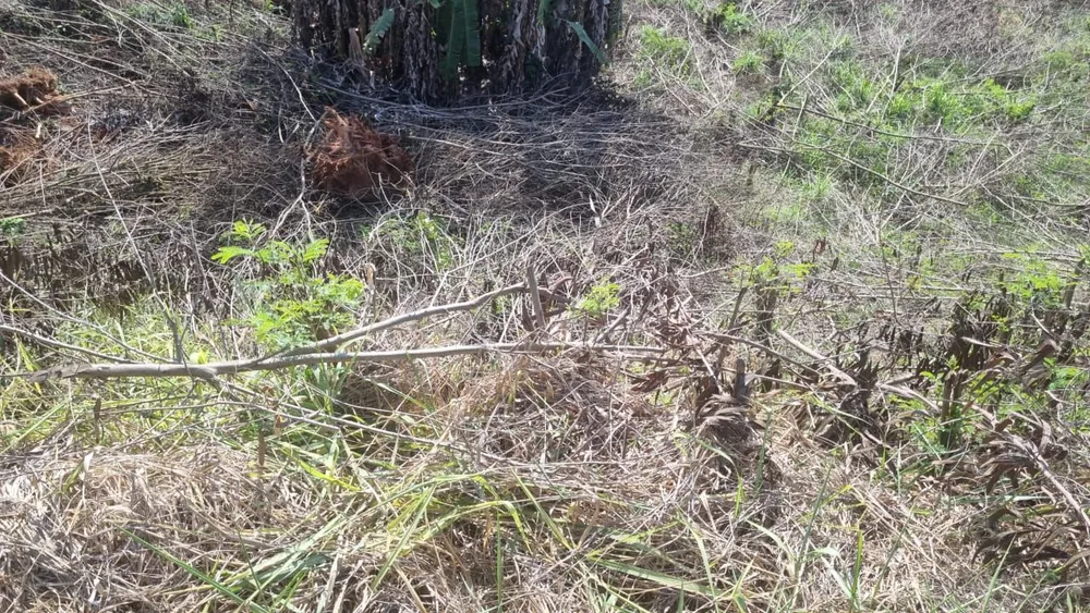 Terreno, 5 m² - Foto 5