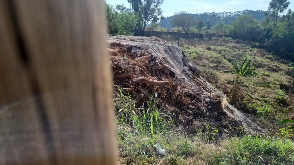 Terreno, 5 m² - Foto 6
