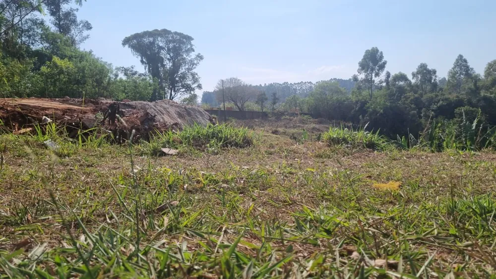 Terreno, 5 m² - Foto 3