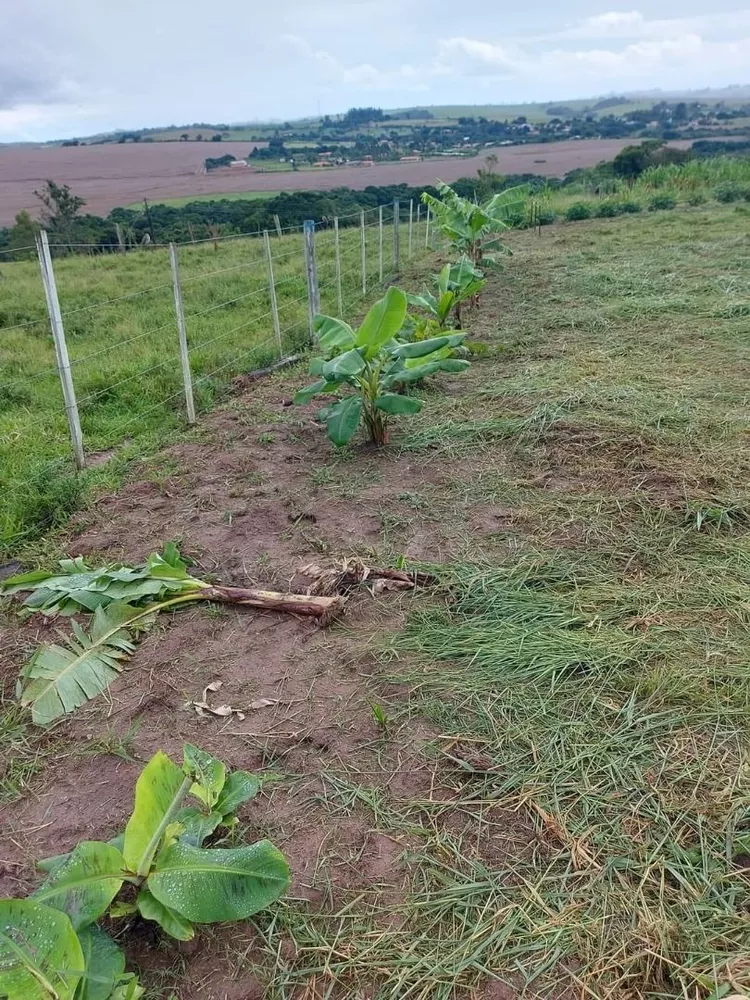 Terreno à venda, 1M2 - Foto 3