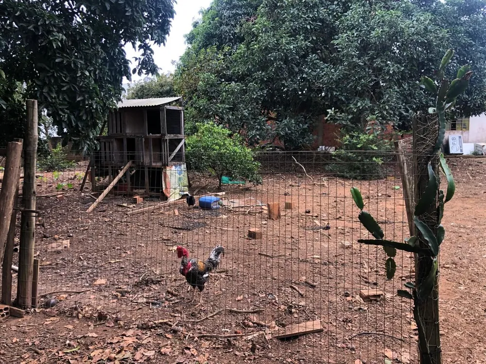 Chácara, 3 quartos, 2 m² - Foto 12