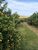 Fazenda, 953 m² - Foto 3