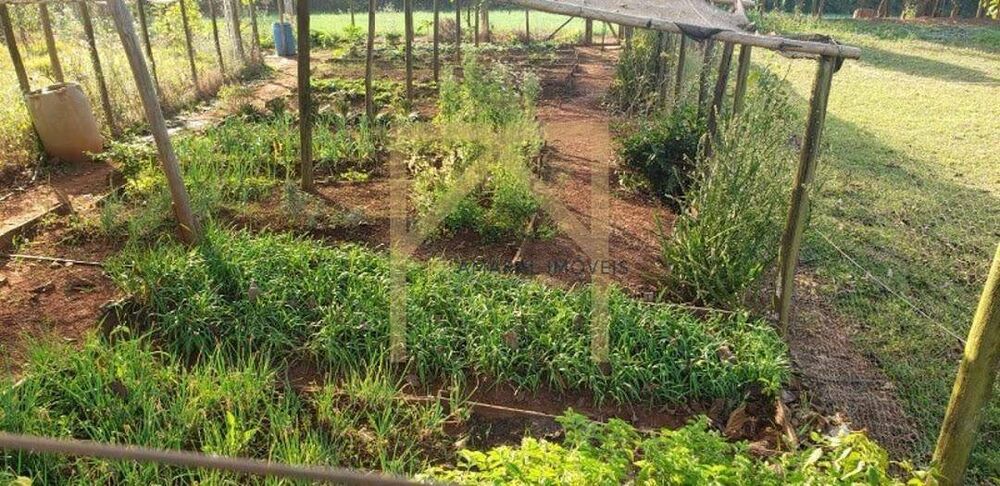 Fazenda-Sítio-Chácara, 13 m² - Foto 5