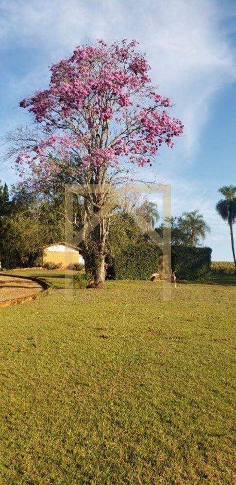 Fazenda-Sítio-Chácara, 13 m² - Foto 3