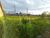 Terreno, 3000 m² - Foto 8
