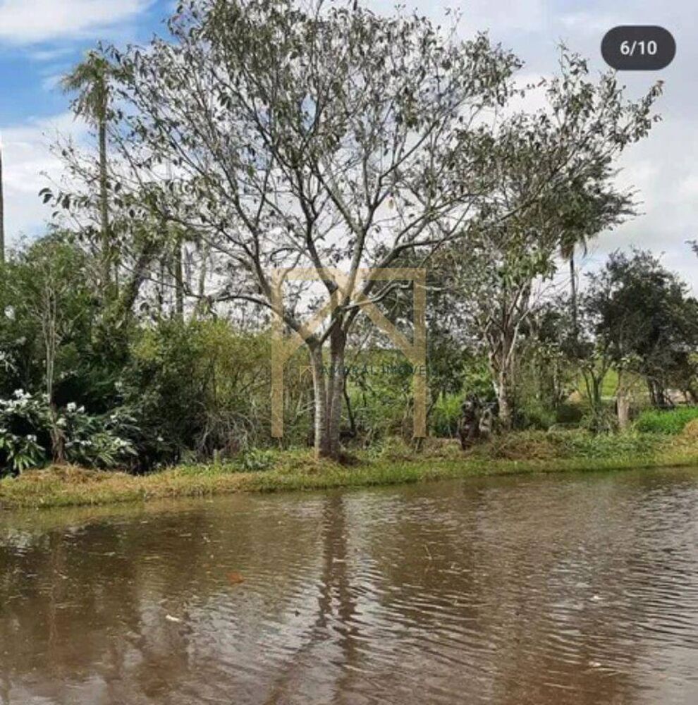 Sítio, 5 quartos, 3 m² - Foto 3