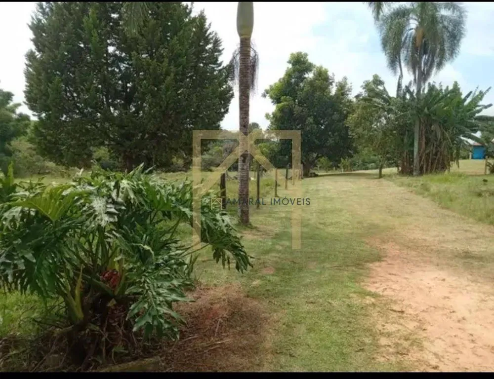 Chácara, 4 quartos, 2 hectares - Foto 4