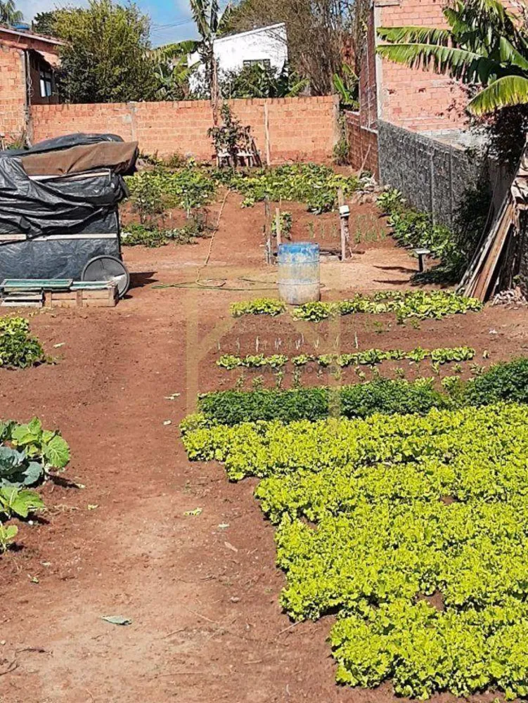 Terreno, 500 m² - Foto 6