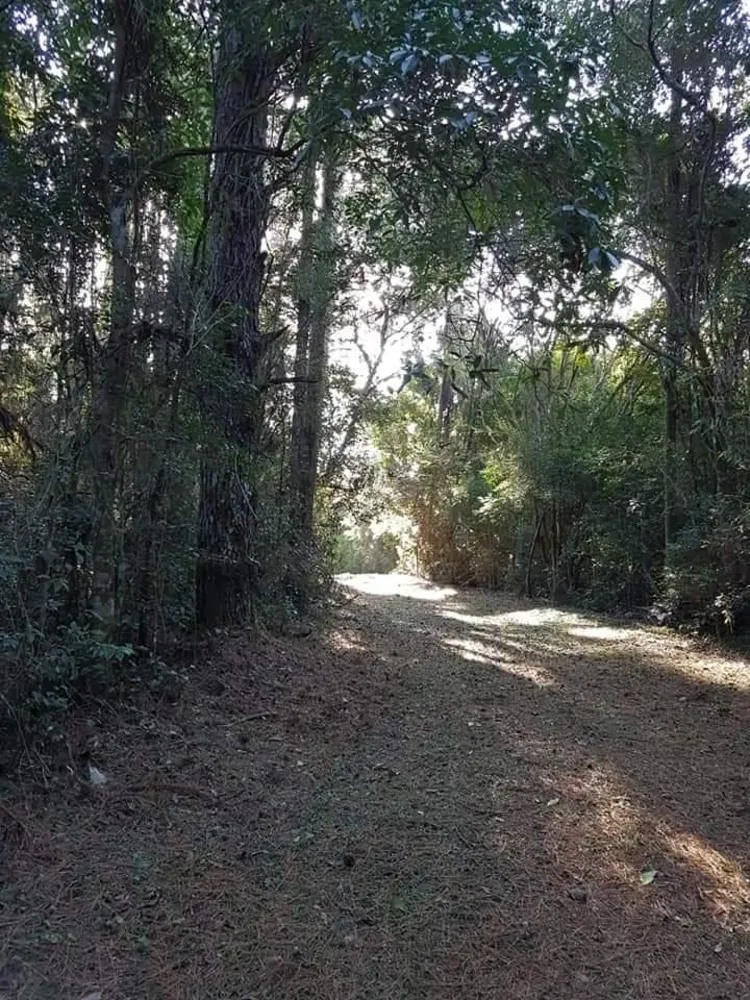 Chácara, 3 quartos, 4 hectares - Foto 4