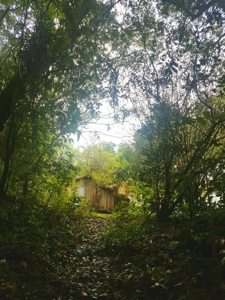 Chácara, 3 quartos, 4 hectares - Foto 1