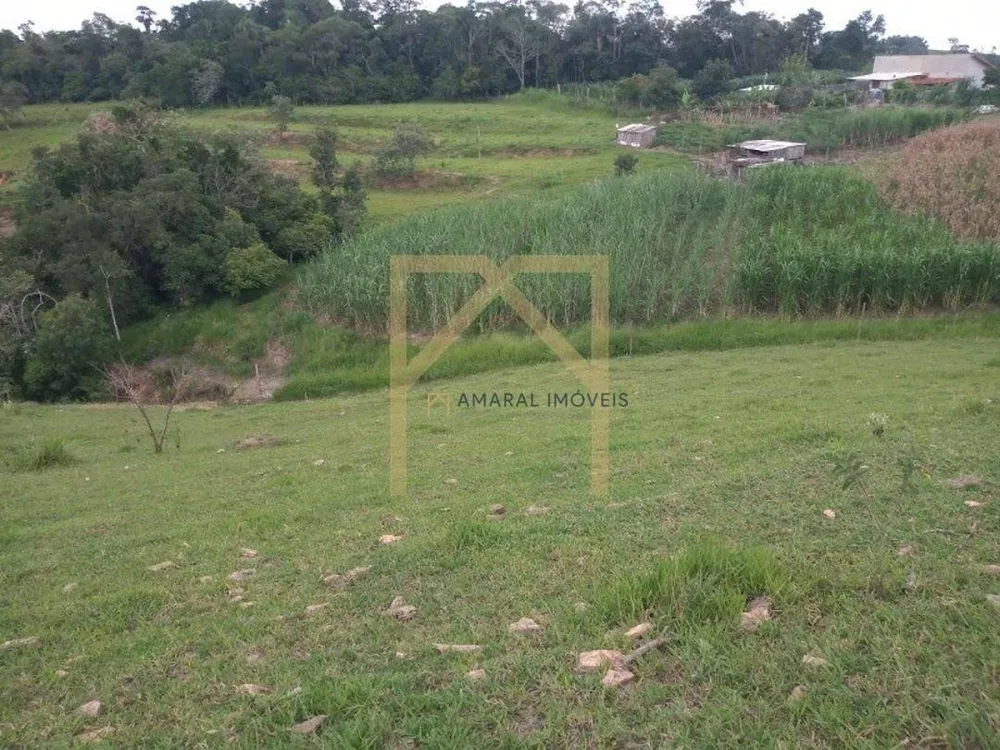 Sítio, 2 quartos, 3 hectares - Foto 4