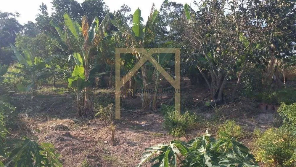 Sítio, 2 quartos, 3 hectares - Foto 10
