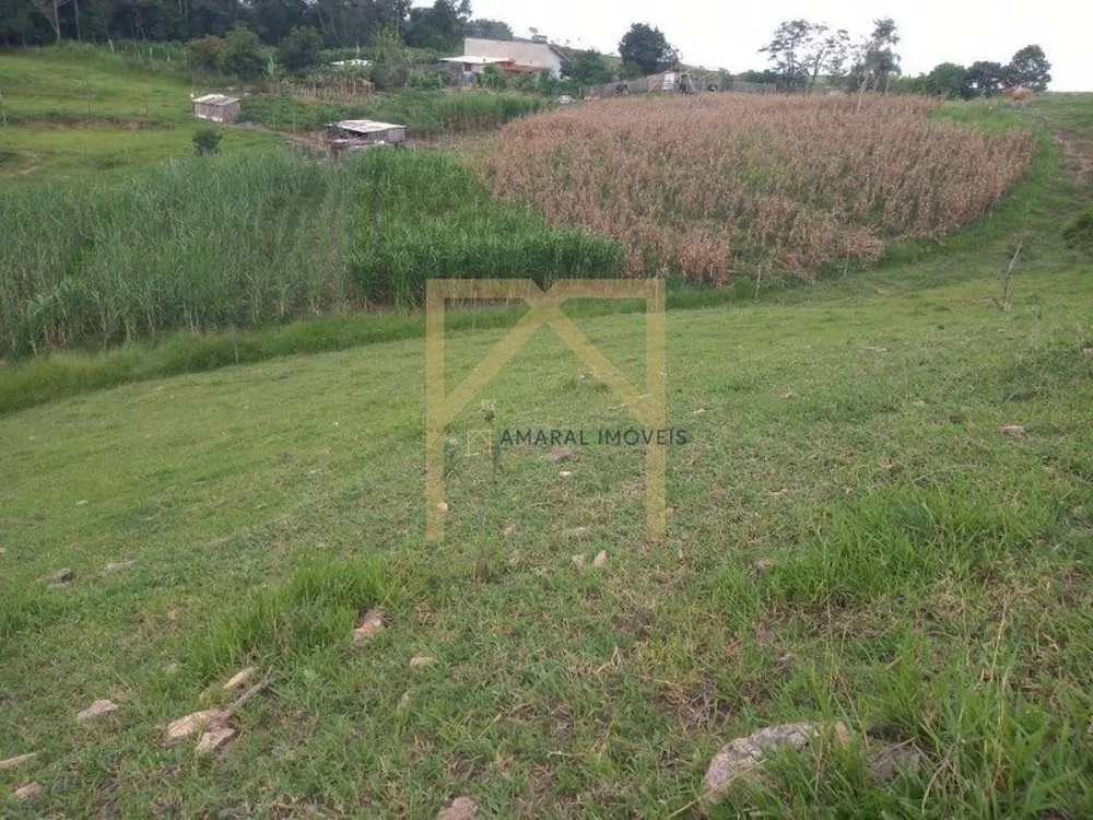 Sítio, 2 quartos, 3 hectares - Foto 3