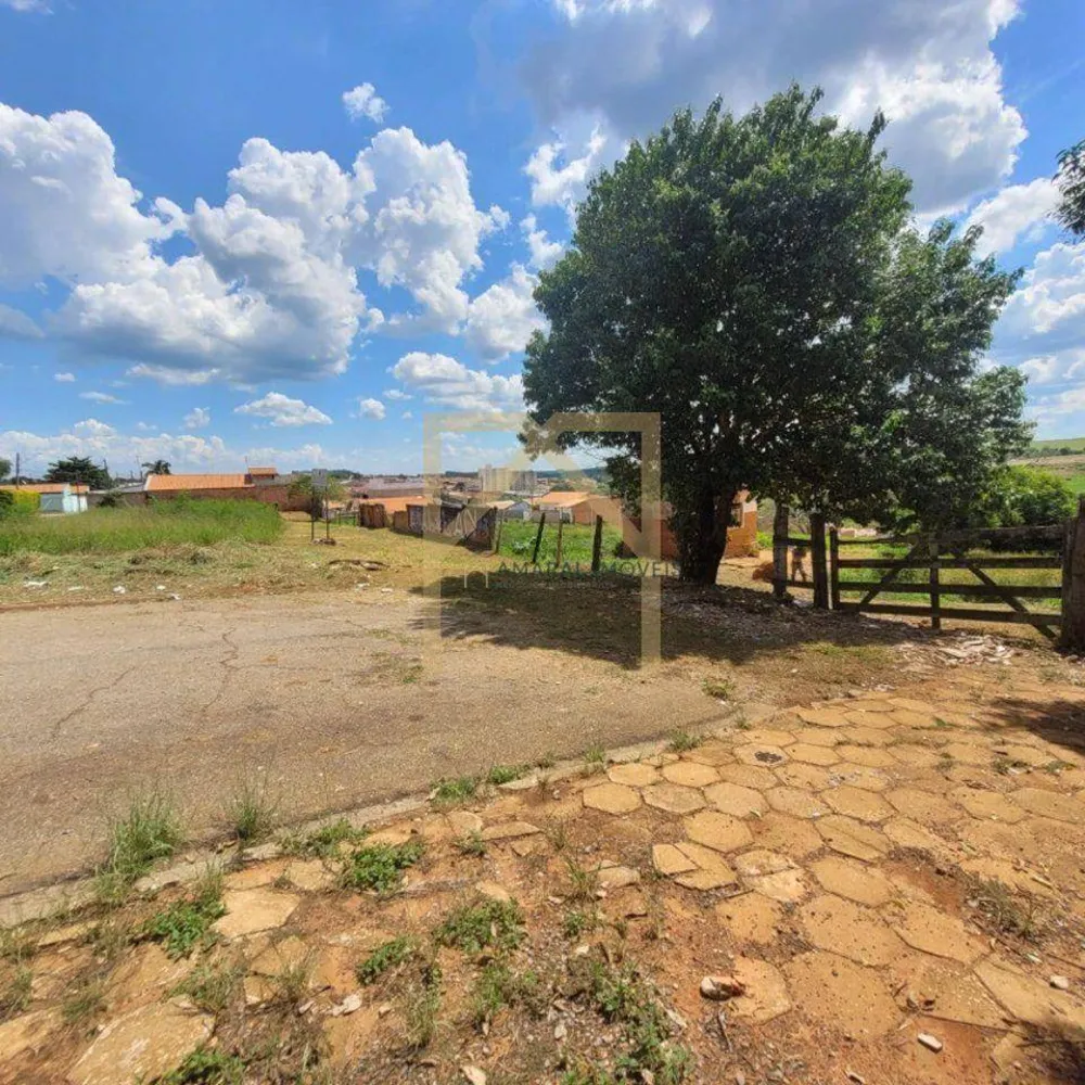 Terreno, 2 hectares - Foto 3