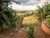 Chácara, 2 quartos, 1 hectares - Foto 1