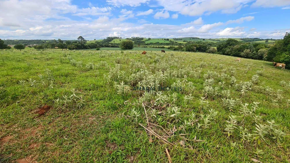 Sítio, 4 hectares - Foto 2