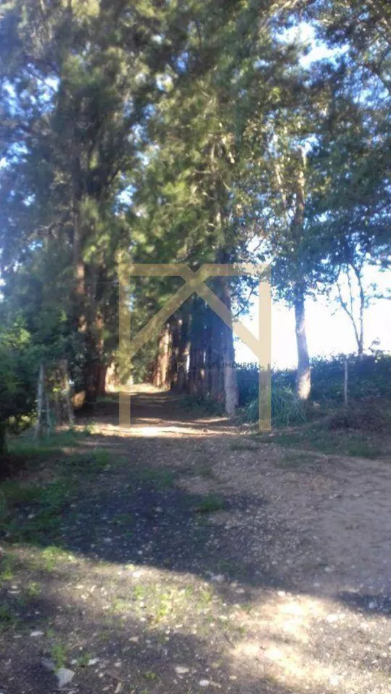 Sítio, 3 quartos, 4 m² - Foto 2