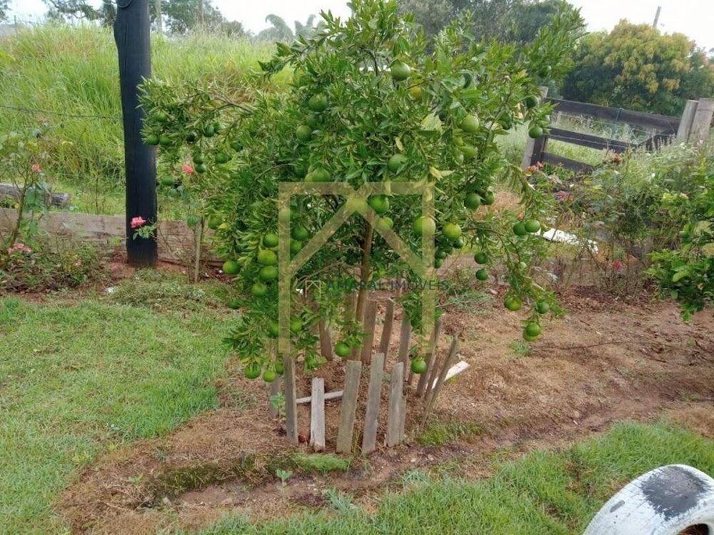 Chácara, 2 quartos, 450 m² - Foto 2